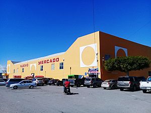 Mercado Jamaiquitas en Actopan, Hidalgo 09