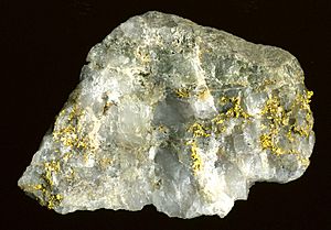 Mother Lode Gold OreHarvard mine quartz-gold vein