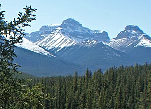 Mount Erasmus from Icefields Parkway
