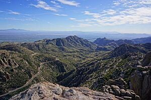 Mount Lemmon (35229949722)