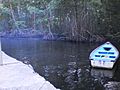 Muelle en el Caño de Rio Grande de la Costa - Peninsula de Paria