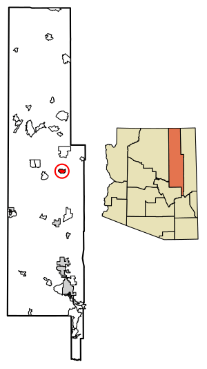 Location of Indian Wells in Navajo County, Arizona.
