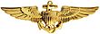 Naval Aviator Badge.jpg
