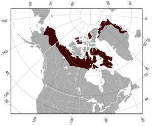 Northern Collared Lemming Dicrostonyx groenlandicus distribution map.png