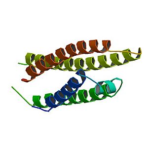 PBB Protein APOE