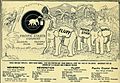 Pacific Laundry and Cooking Starch (1904) (ADVERT 72)