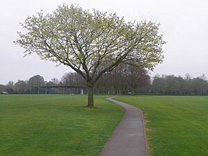 Path across the playing field - geograph.org.uk - 1254786