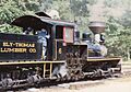 PineCreekRailroadwithLicence