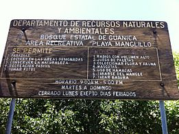 Playa Manglillo - panoramio