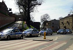 Policyjne Radiowozy pod Wawelem
