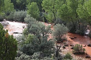 Puerco River in flood August, 2010