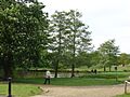 Richmond Park - geograph.org.uk - 16252