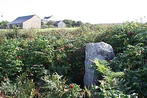 Roadside stone near Leswidden Farm - geograph.org.uk - 1470196