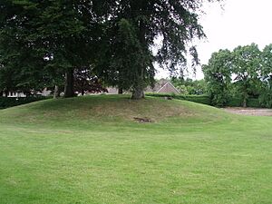 Rutherglen Main Street Tumulus - geograph.org.uk - 1173420