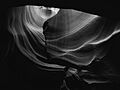 SW-Antelope-2331-bw