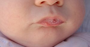 Saliva Baby