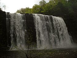 Salmon River Falls Spring 2009.JPG