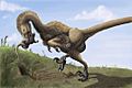 Saurornitholestes digging Burrows wahweap