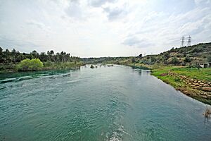 Seyhan River, Çatalan 05