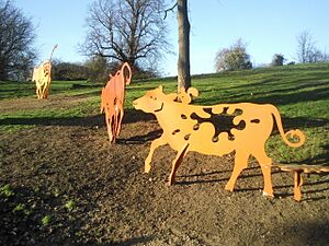 Shenstone Park cows - geograph.org.uk - 2319116