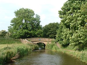 Snake Bridge Macclesfield canal