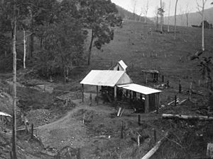StateLibQld 1 112124 Gold mining at Kilcoy Creek, 1933
