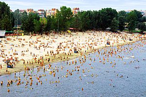 Strand Novi Sad