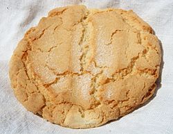 A plain sugar cookie