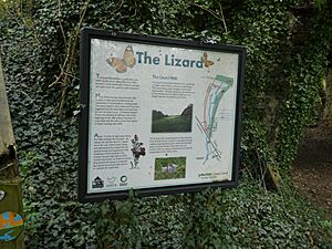 The Lizard Sign