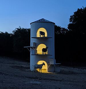 The goat tower at Henly Hills farm in Dripping Springs, TX at night (cropped)