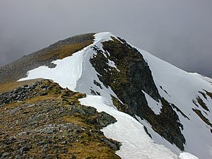 The summit of A' Chralaig - geograph.org.uk - 1031632
