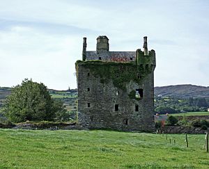 Togher Castle - geograph.org.uk - 537524.jpg