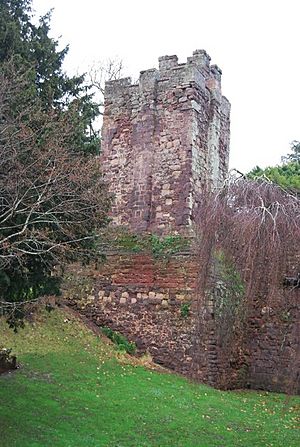 Tower, Exeter castle (geograph 3468003)
