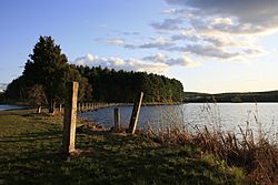 Trails along the shore of Ashley Reservoir, Holyoke, Massachusetts (2010).jpg