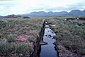 Turbary cutting (for removing peat) - geograph.org.uk - 65980
