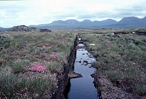 Turbary cutting (for removing peat) - geograph.org.uk - 65980