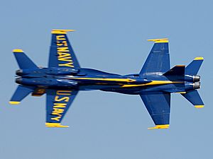 US Navy 040815-N-7559C-001 Blue Angels perform the opposing Knife-Edge Pass