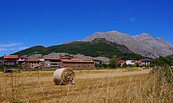 Vegacervera Facts for Kids