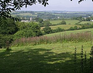 View towards Lezant - geograph.org.uk - 459181