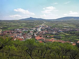 View of Vilvestre