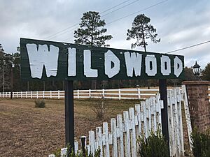 Wildwood, TX sign.jpg