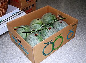 Yubari melons in the cardboard box
