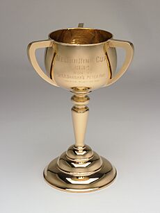1934 Melbourne Cup, National Museum of Australia
