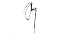A. Necdet Sezer signature