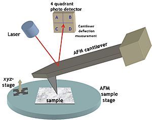 How an atomic force microscope works.