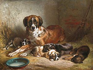 Adam, Benno, Bernese Mountain Dog and Her Pups