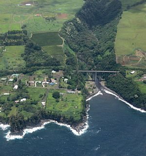 Aerial view of Hakalau Bay, 2009-07-25