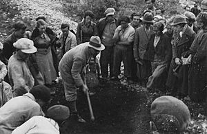 Alexander Eig Laying the Groundwork for the Botanical Garden on Mount Scopus