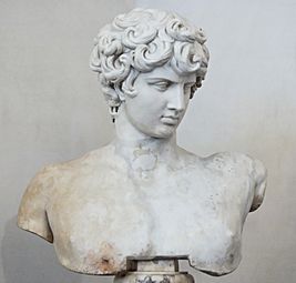 Antinous Ludovisi Altemps Inv8620 n1