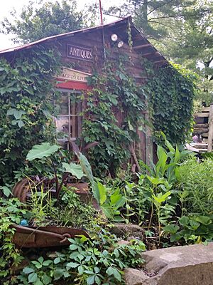 Antique Barn in the Rabbit Hash Historic District